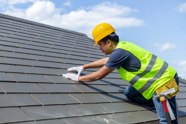 Best Roof Gutter Cleaning  in Pelahatchie, MS