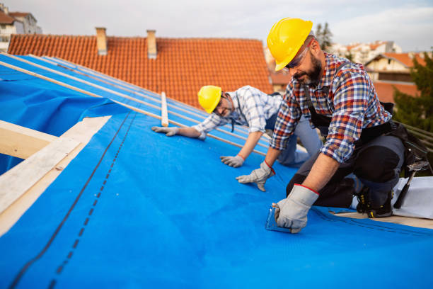 Best Storm Damage Roof Repair  in Pelahatchie, MS